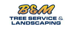 b&m tree service & landscaping logo